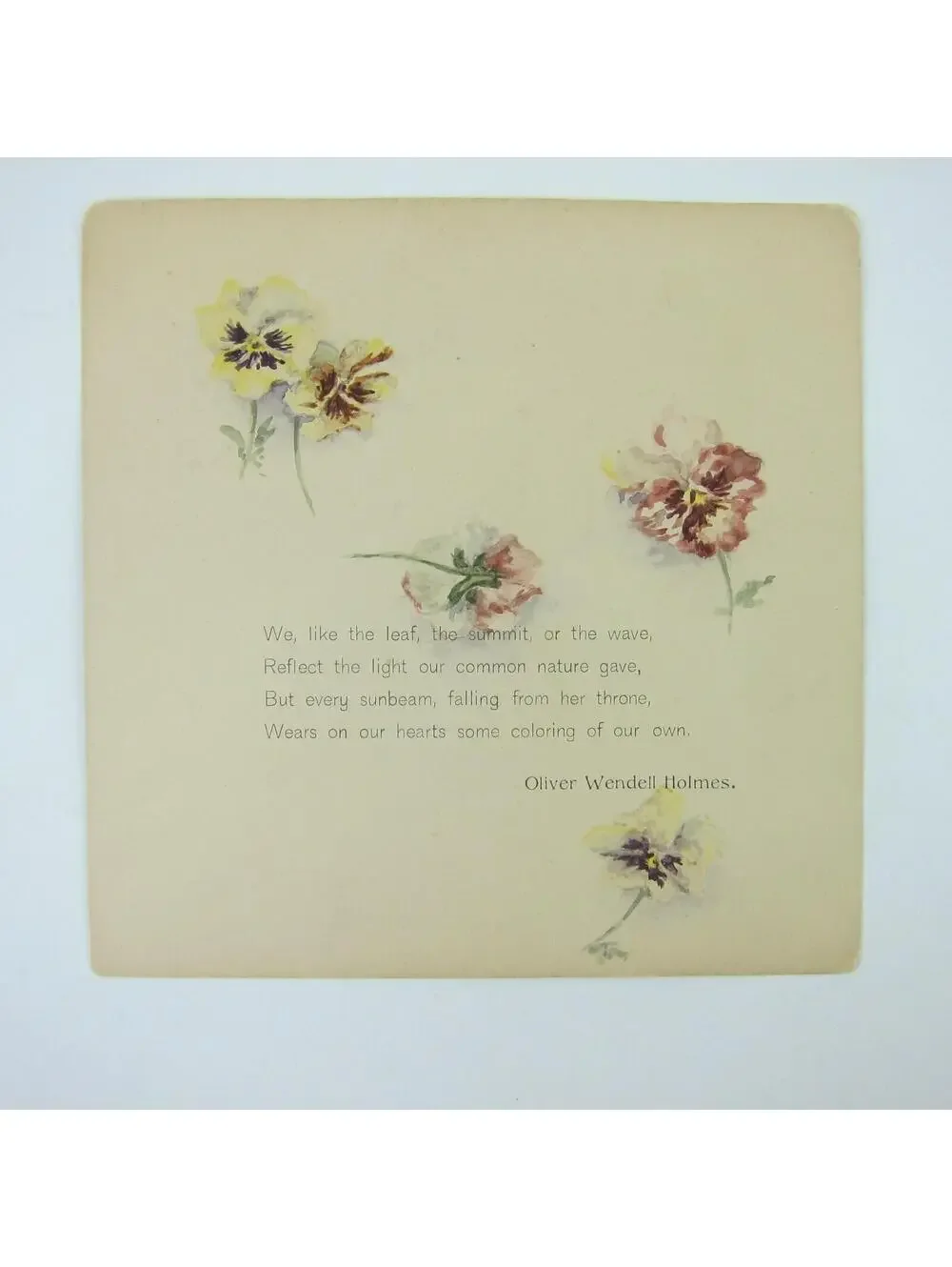 Antique Card Pansies Yellow Purple Pink Pansy Flowers Poem Oliver Wendell Holmes